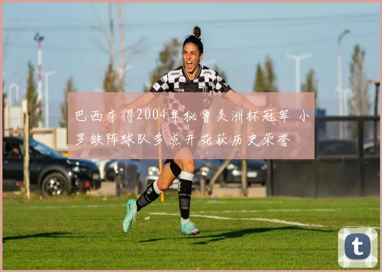 巴西夺得2004年秘鲁美洲杯冠军 小罗缺阵球队多点开花获历史荣誉