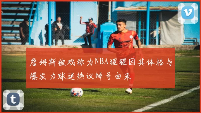 詹姆斯被戏称为NBA猩猩因其体格与爆发力球迷热议绰号由来