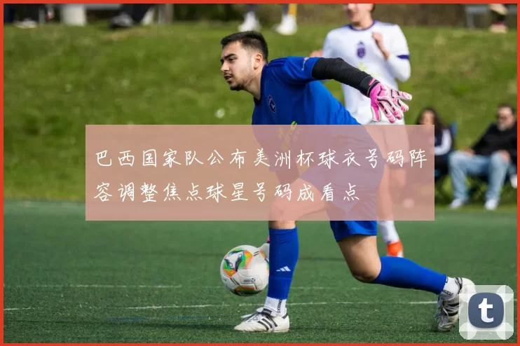 巴西国家队公布美洲杯球衣号码阵容调整焦点球星号码成看点